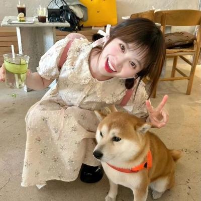 再见语言